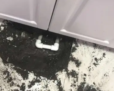 新罗查漏水哪家好